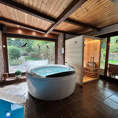Prázdninový dům Mit Schwimmbad, Whirlpool & Sauna Am Nuerburgring *